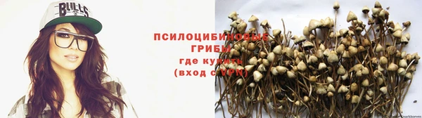MDMA Козловка