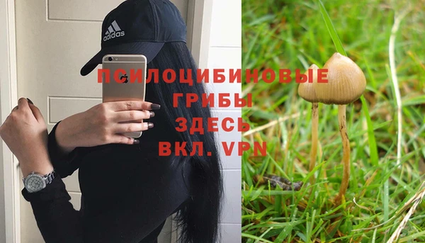 стаф Карпинск