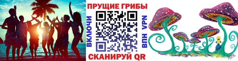 Псилоцибиновые грибы прущие грибы  Купить  Томари 